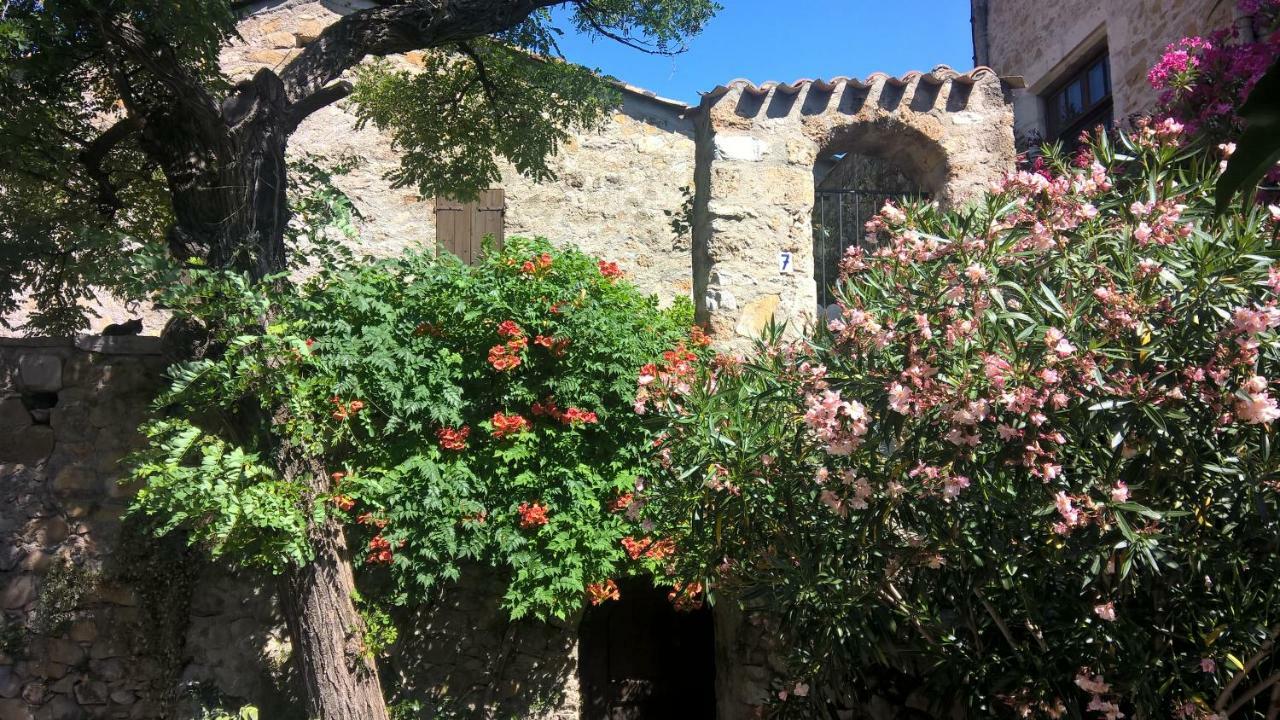 Les Studios De St Guilhem Saint-Guilhem-le-Desert Kültér fotó