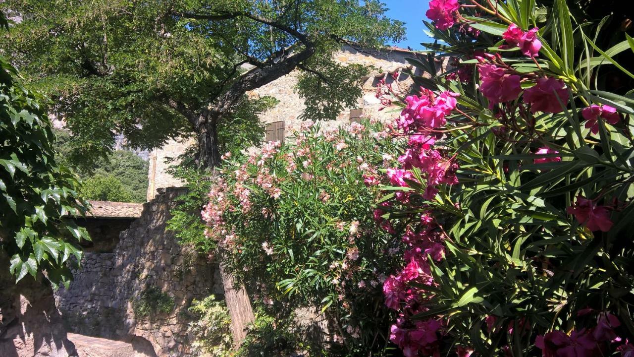 Les Studios De St Guilhem Saint-Guilhem-le-Desert Kültér fotó