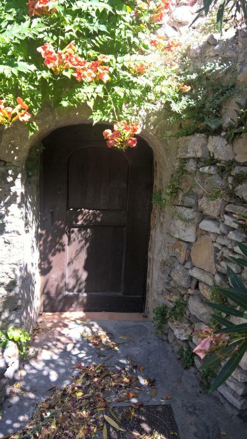 Les Studios De St Guilhem Saint-Guilhem-le-Desert Kültér fotó